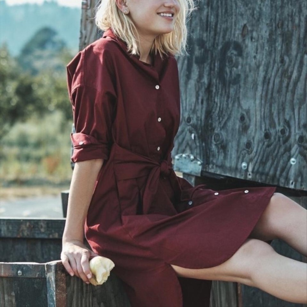 Amour Vert organic cotton Wren shirt dress